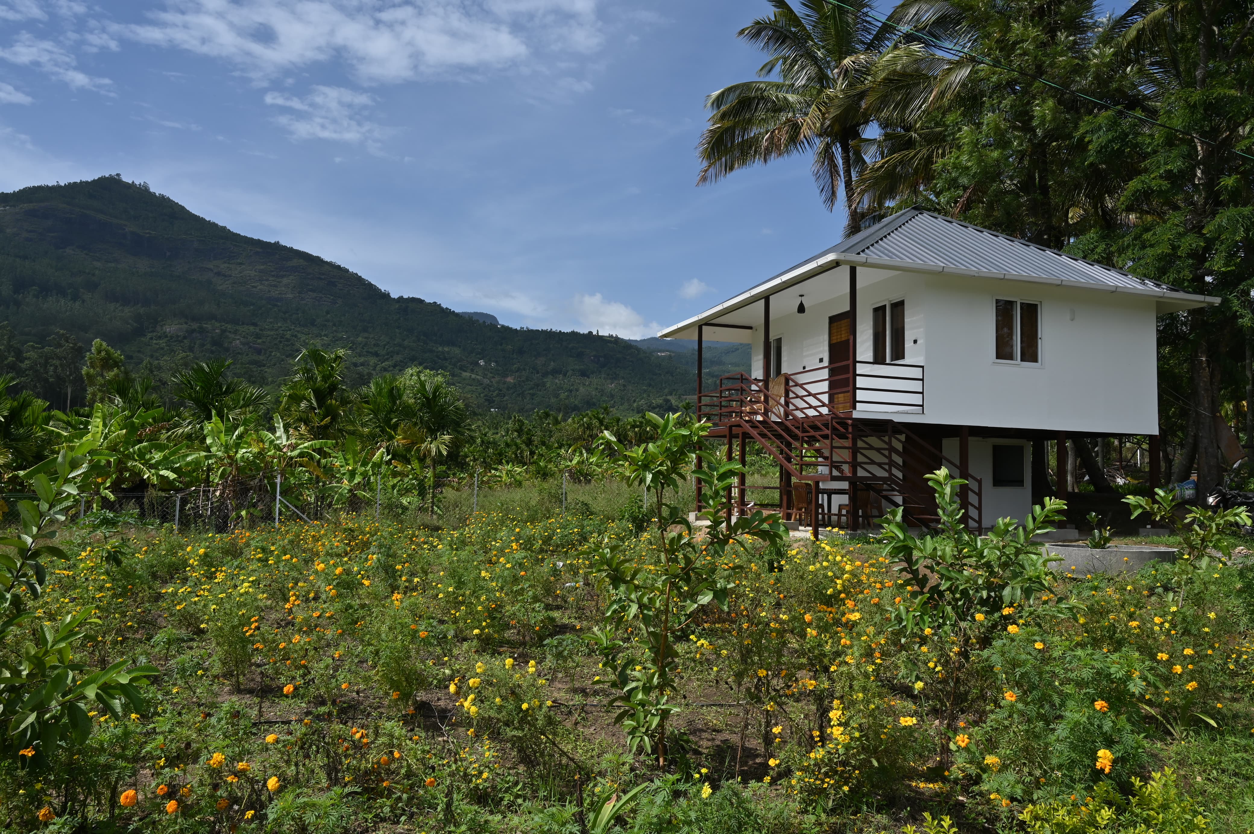 Family Cottage